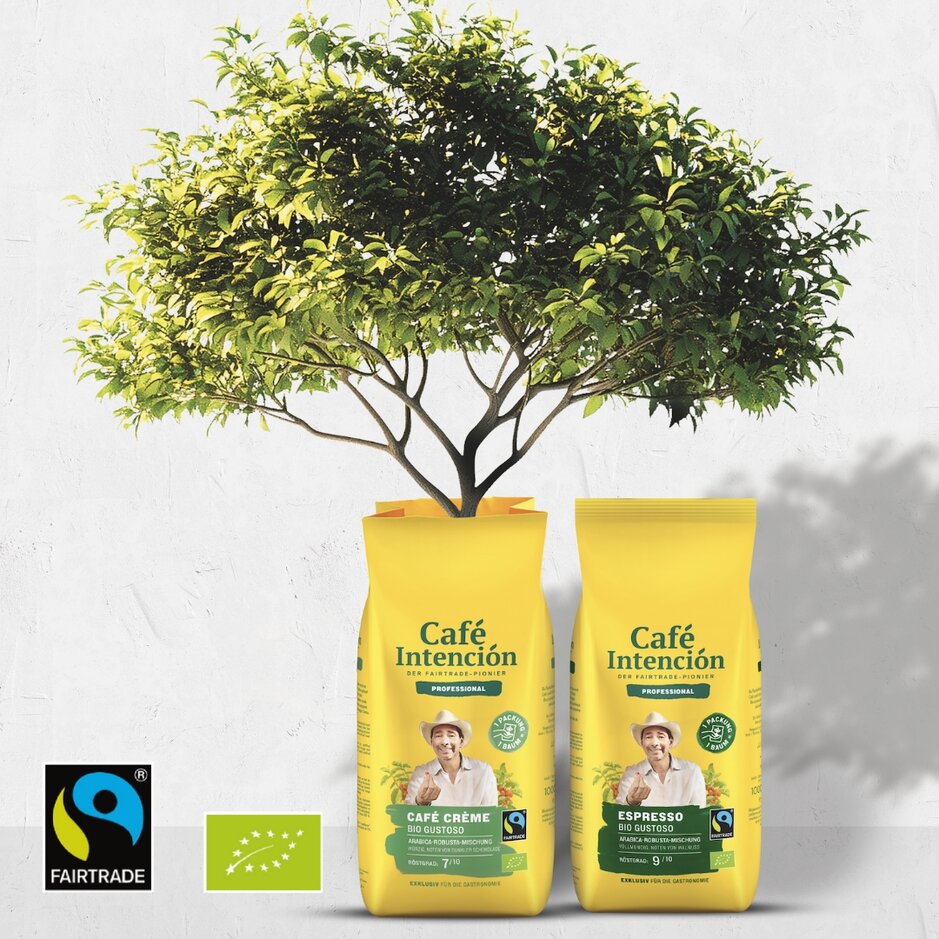 Café Intención-Taschen mit Fairtrade-Kaffee und buntem Baumlaub auf der Oberseite, die für nachhaltigen Kaffeekonsum werben.