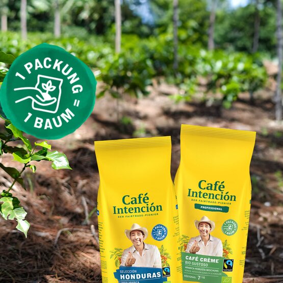 Frische Kaffeepflanzen in einer nachhaltigen Farm, die die Verpackung von Café Intención zeigt, die Initiativen zur Anpflanzung von Bäumen unterstützt.
