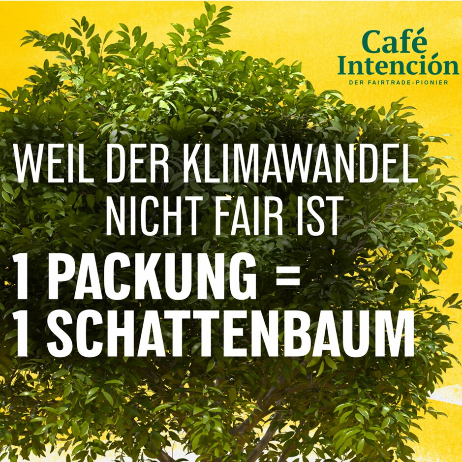 Café Intención fördert die Nachhaltigkeit: Für jedes verkaufte Produkt wird ein Schattenbaum gepflanzt, um den Klimawandel zu bekämpfen.