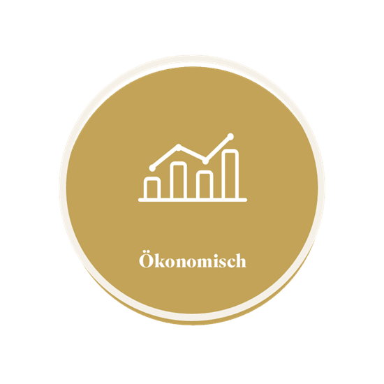 Economic growth infographic featuring line and bar graphs with the label "Ökonomisch".