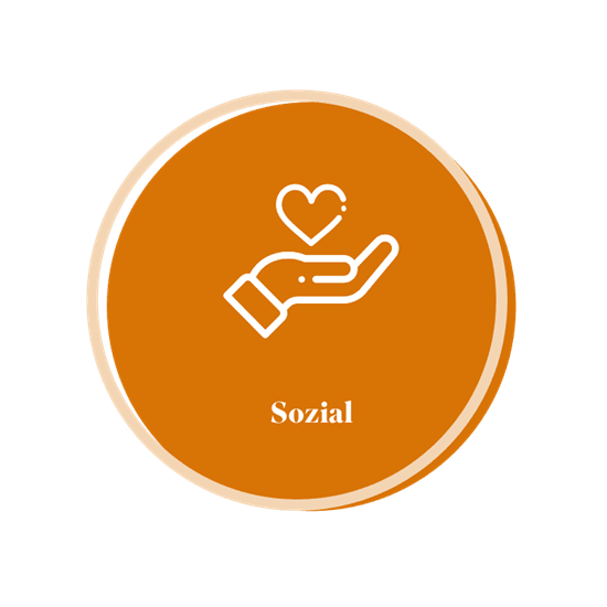 Icon depicting a hand with a heart, labelled 'Sozial', symbolising social support and community connection.