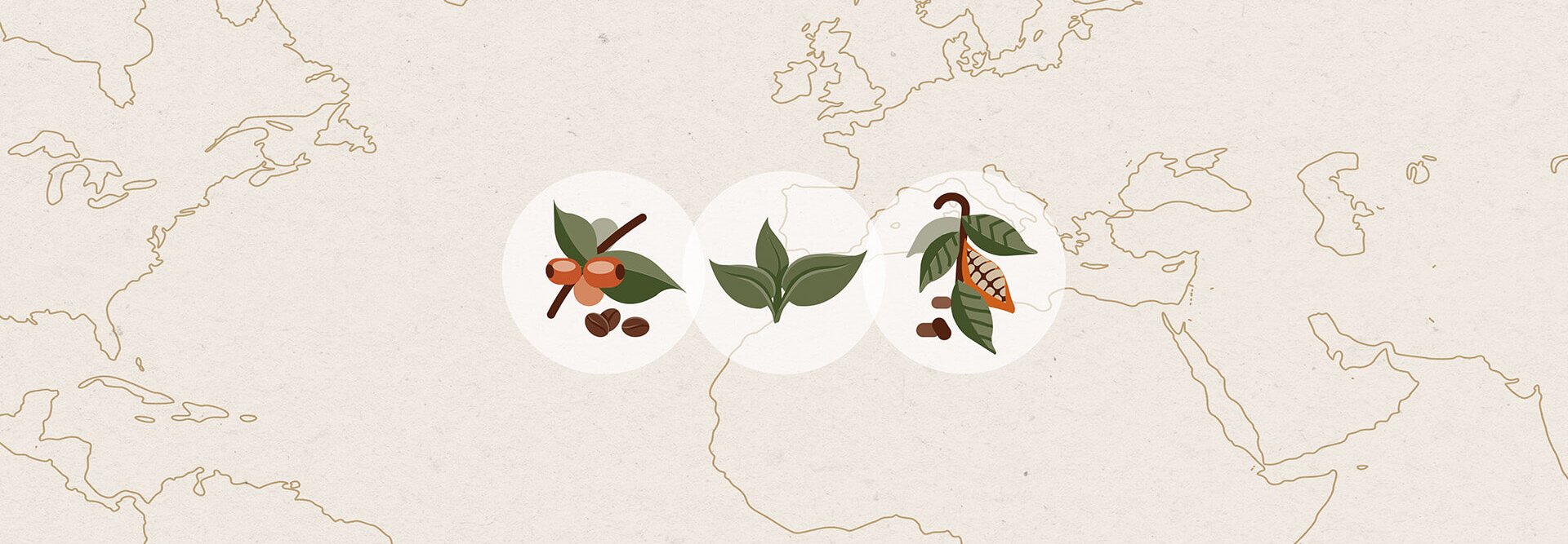 Illustration of sustainability, featuring coffee, tea, and cacao plants on a textured map background.