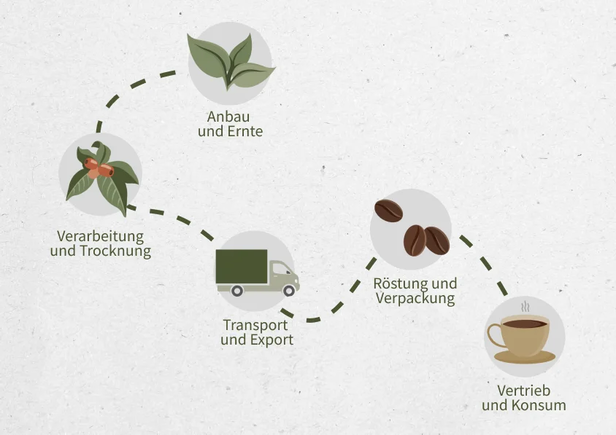 Infografik zur Kaffeeversorgungskette, die die einzelnen Phasen veranschaulicht: Anbau, Verarbeitung, Transport, Röstung und Verbrauch.