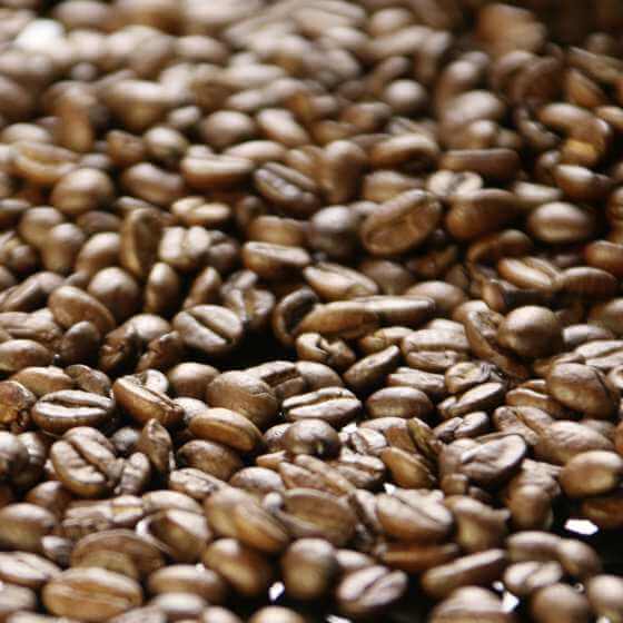 Darboven coffee beans