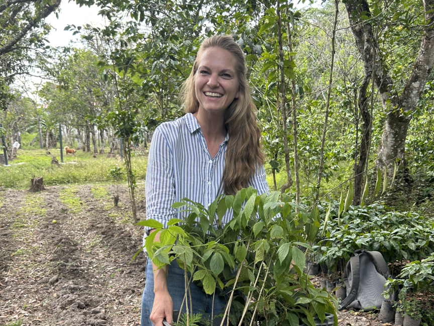 Eine Frau trägt lächelnd eine Kiste mit jungen Pflanzen durch einen üppigen Wald und wirbt für eine nachhaltige Wiederaufforstung.