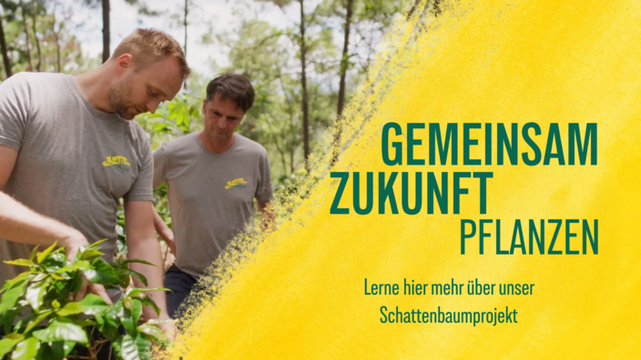 Zwei Männer arbeiten gemeinsam auf einer Kaffeeplantage und setzen sich für eine nachhaltige Landwirtschaft ein, um eine sichere Zukunft für die Kaffeeproduktion zu gewährleisten.