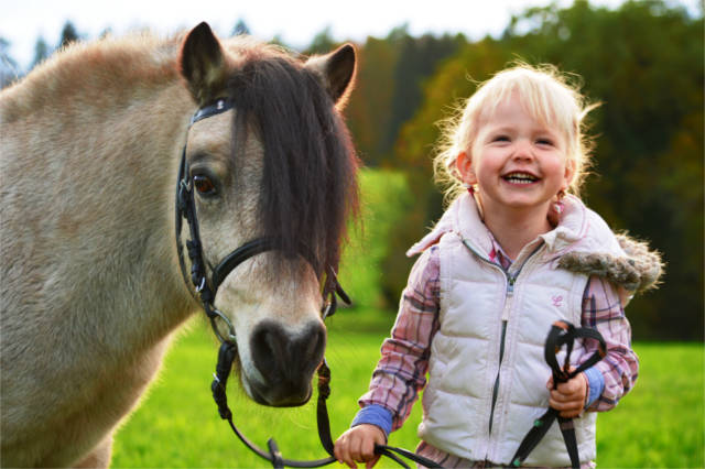 Pferde fur unsere Kinder e.V.